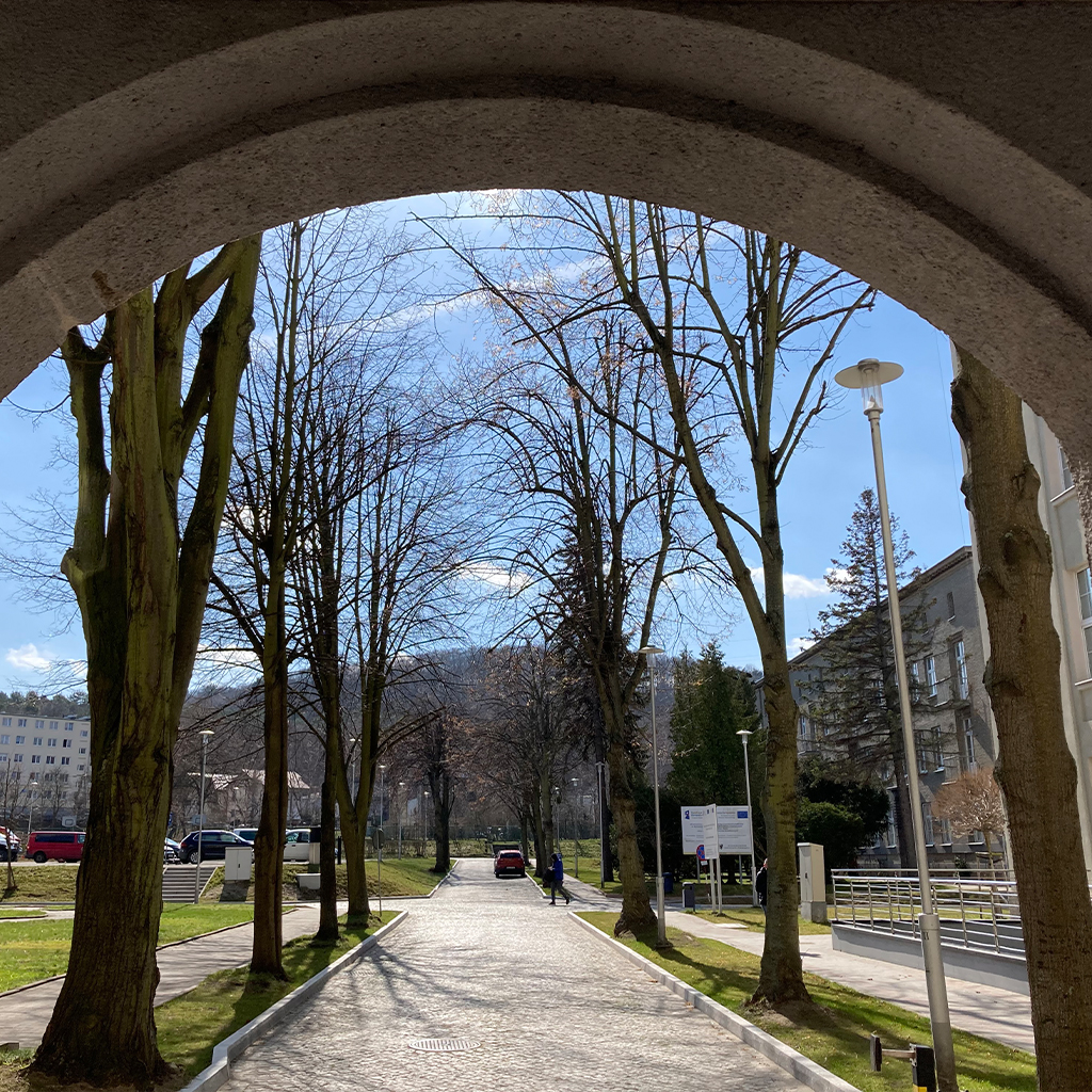 GMU Campus