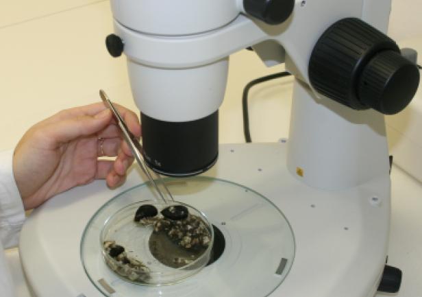 Biological research of the marine environment